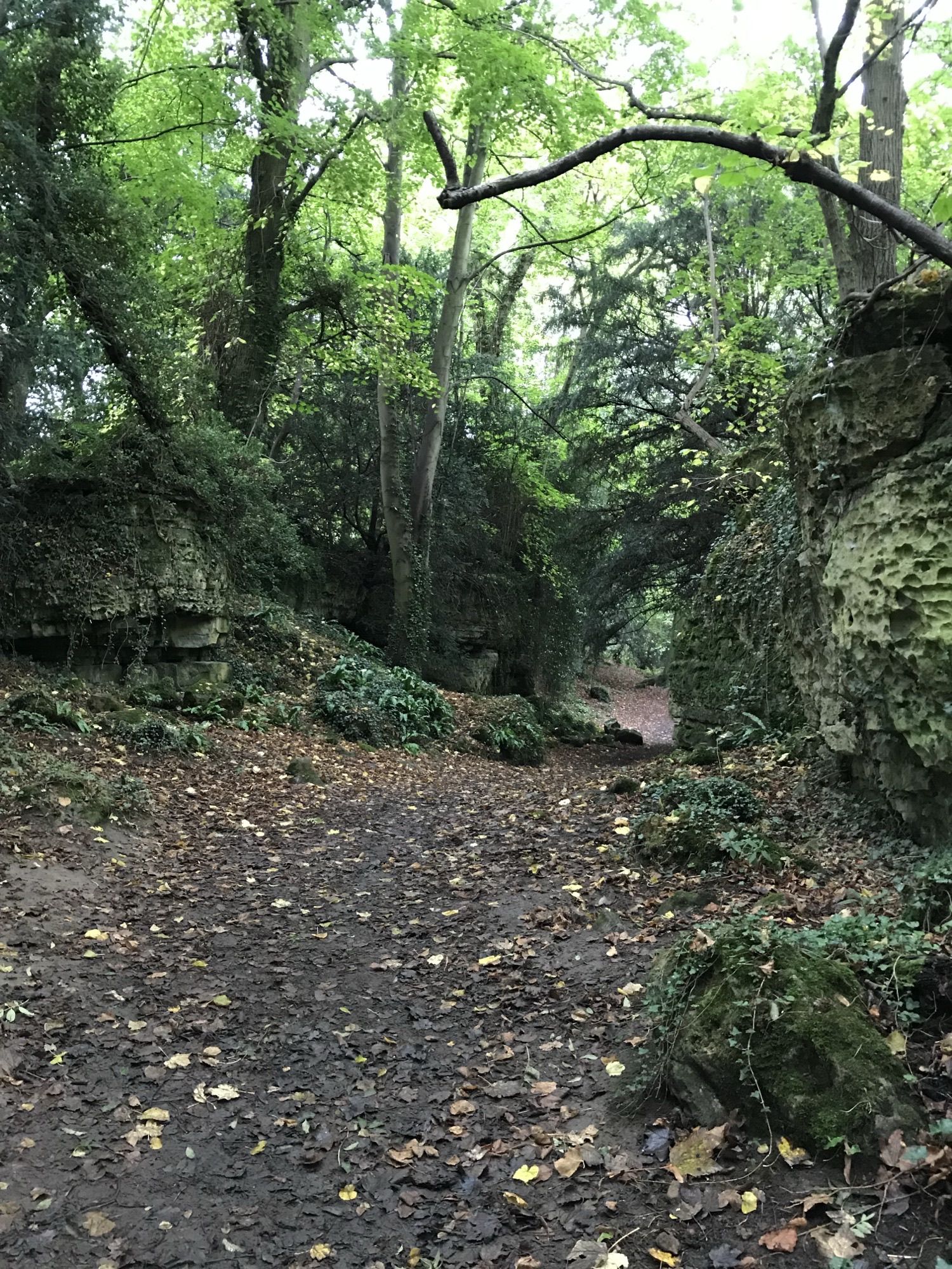 Shireoaks